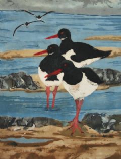 Image entitled Oystercatchers Flying In